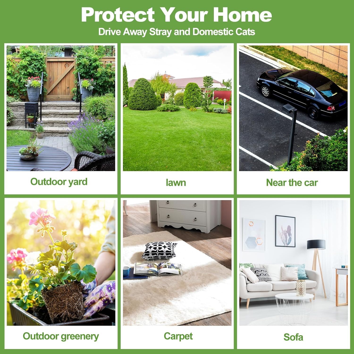 12 Pack Cat Repellent Outdoor