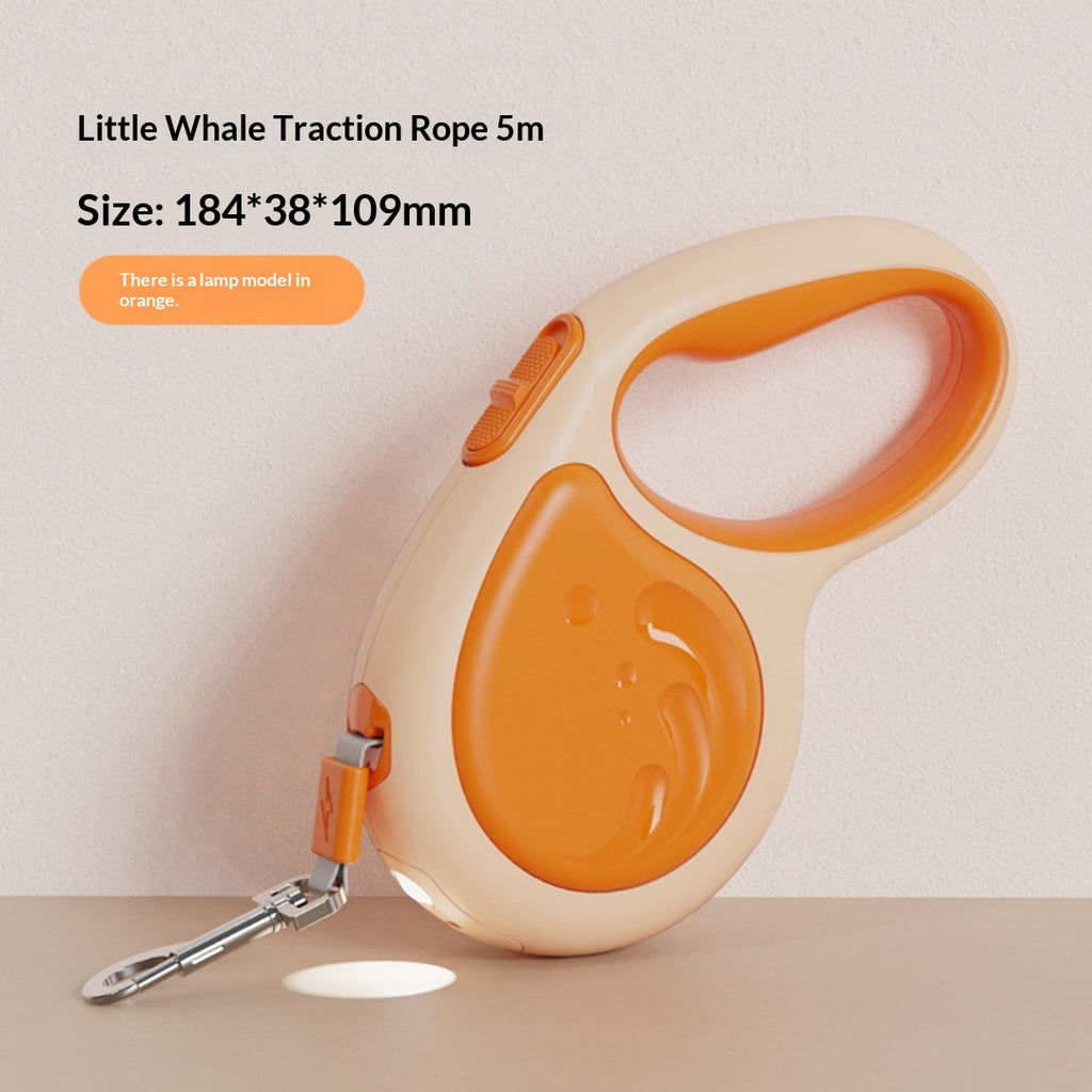 5m laisse rétractable pour animaux avec lampe de poche