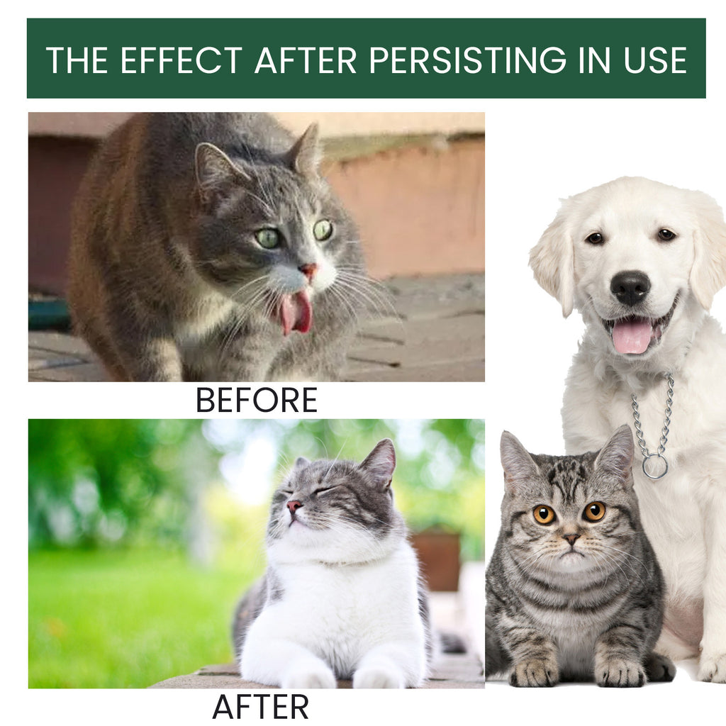 Désagrément physique Solution de soins pour les animaux malades par voie orale