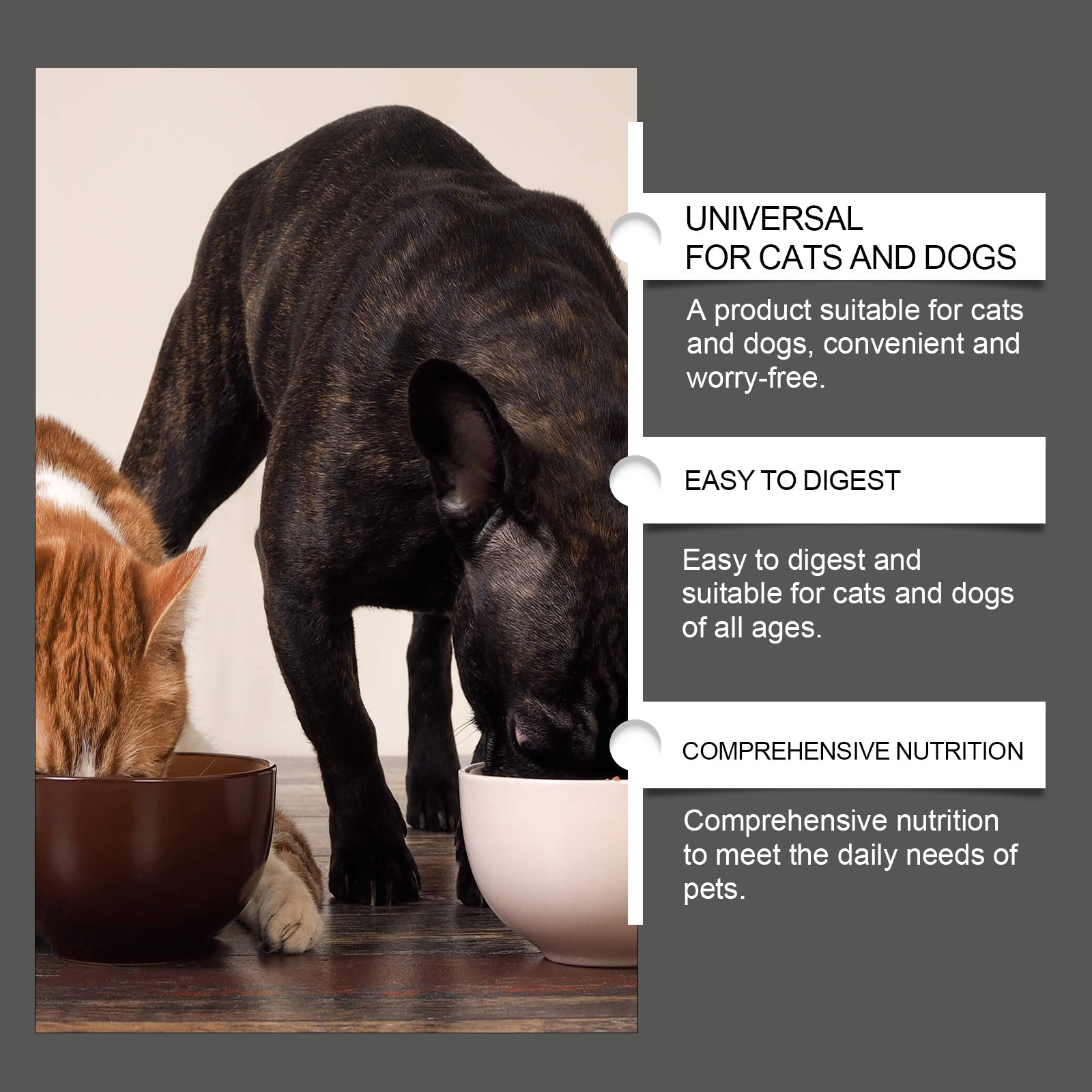 Comprimés à croquer probiotiques pour chiens et chats