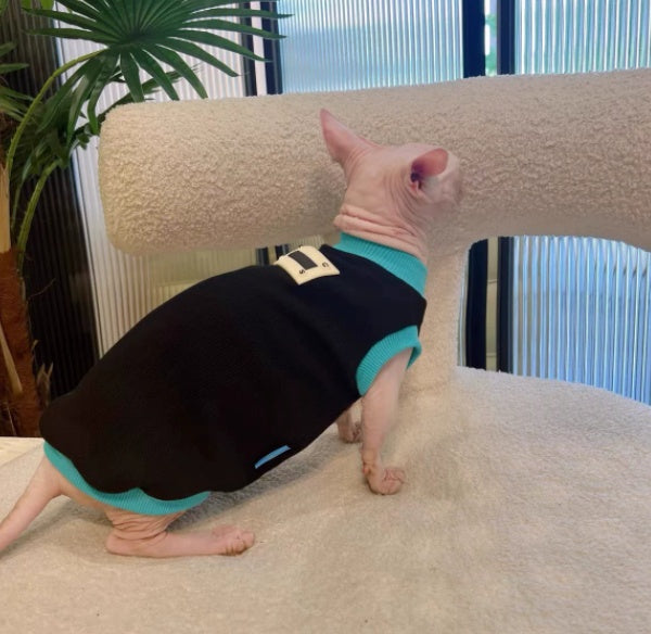 Sphynx Cat Sleeveless Black T-shirt with Blue Trim, Cotton, Spring/Summer Clothing for Hairless Cats