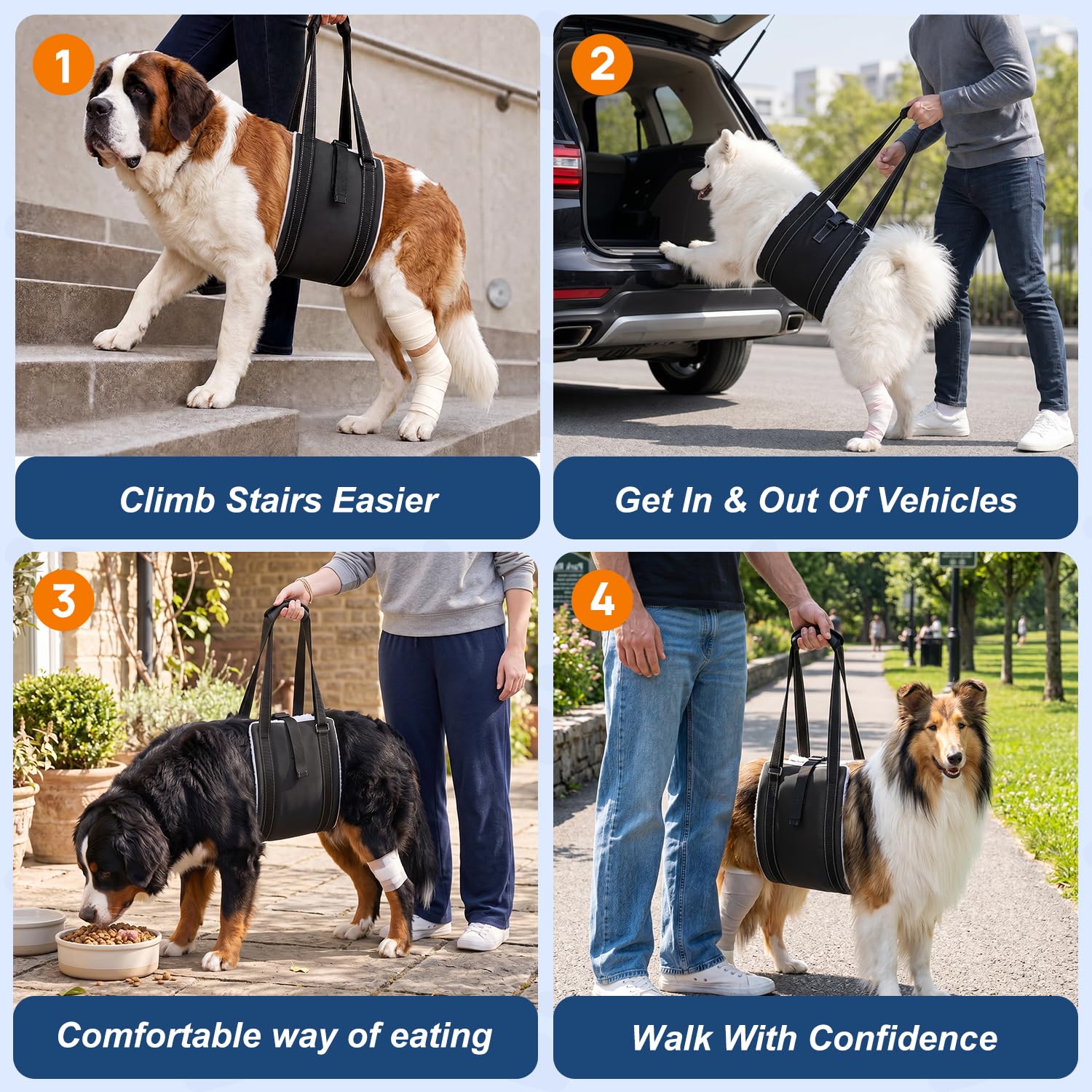 Harnais pour chiens pour jambes arrière