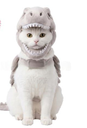 Dinosaure Skeleton Costume de chat Halloween Chat Hoodie