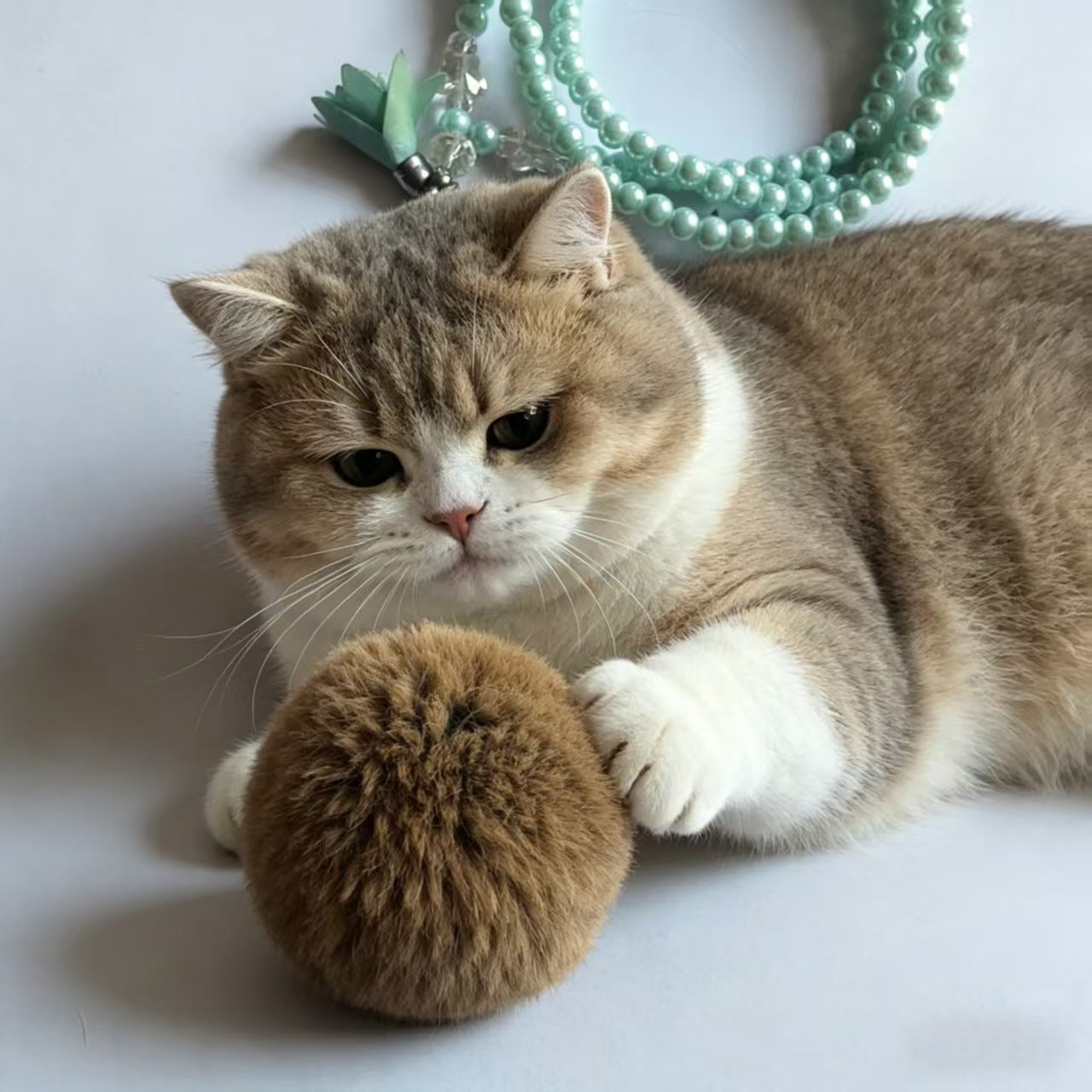 Jouet naturel de chaton de boule de fourrure de lapin