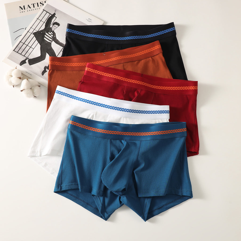 Hommes Breathable Casual Stylish Boxer Slips