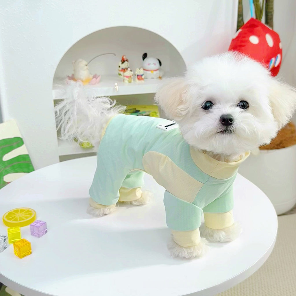Vêtements de chien SpringSummer Ice Silk Refroidissement 4 pièces