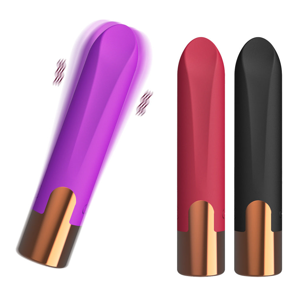 Massage personnel en silicone rechargeable avec 10 modes de vibration et charge magnétique USB