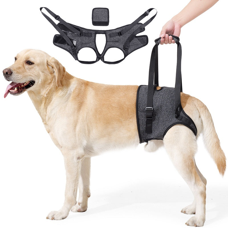 Retractable Harness for Dog Rehabilitation