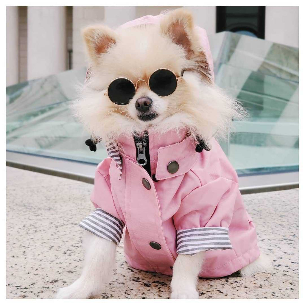 Imperméable au vent British Retro Padded Dog Raincoat