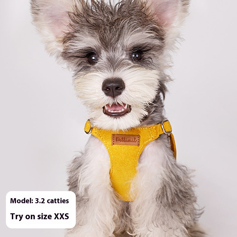 Puppy main tenant la corde Veste chien marche