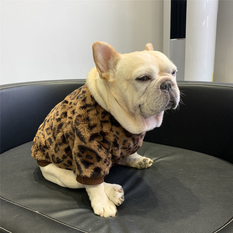 Vêtements de chien polaire doublé chaud rembourré garder Corgi et Shiba Inu Jarre Aero Bull