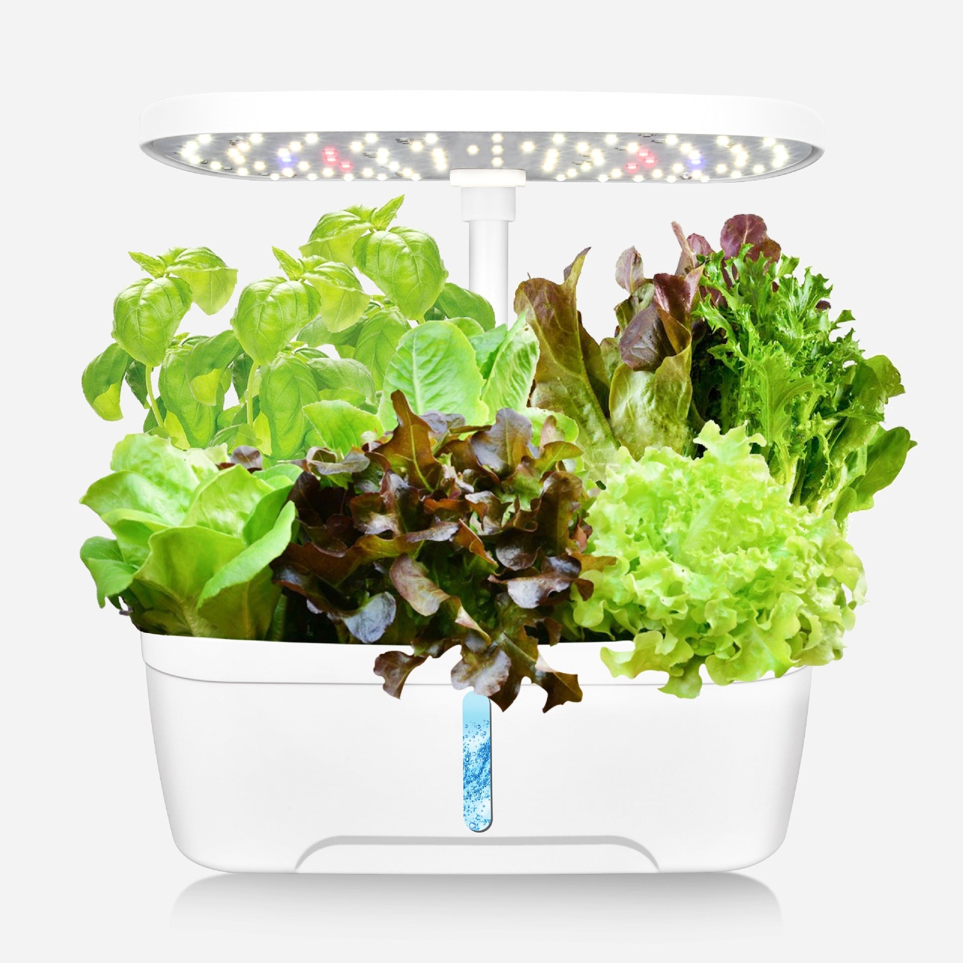 Lampe de croissance supplémentaire de la plante légère