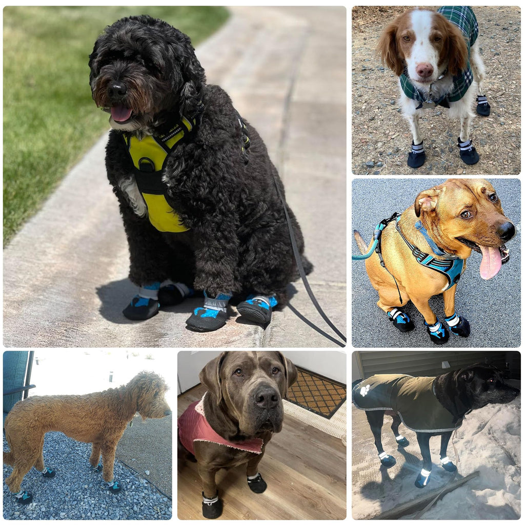 Bottes de chien résistant à l'eau pour chiens de taille moyenne