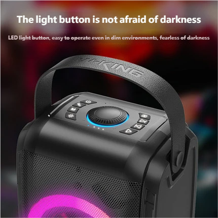 W-King T9S Haut-parleur de karaoké portatif