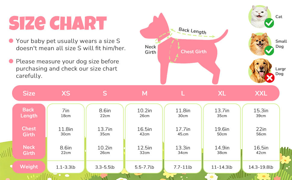 Robes de chien pour petits chiens fille