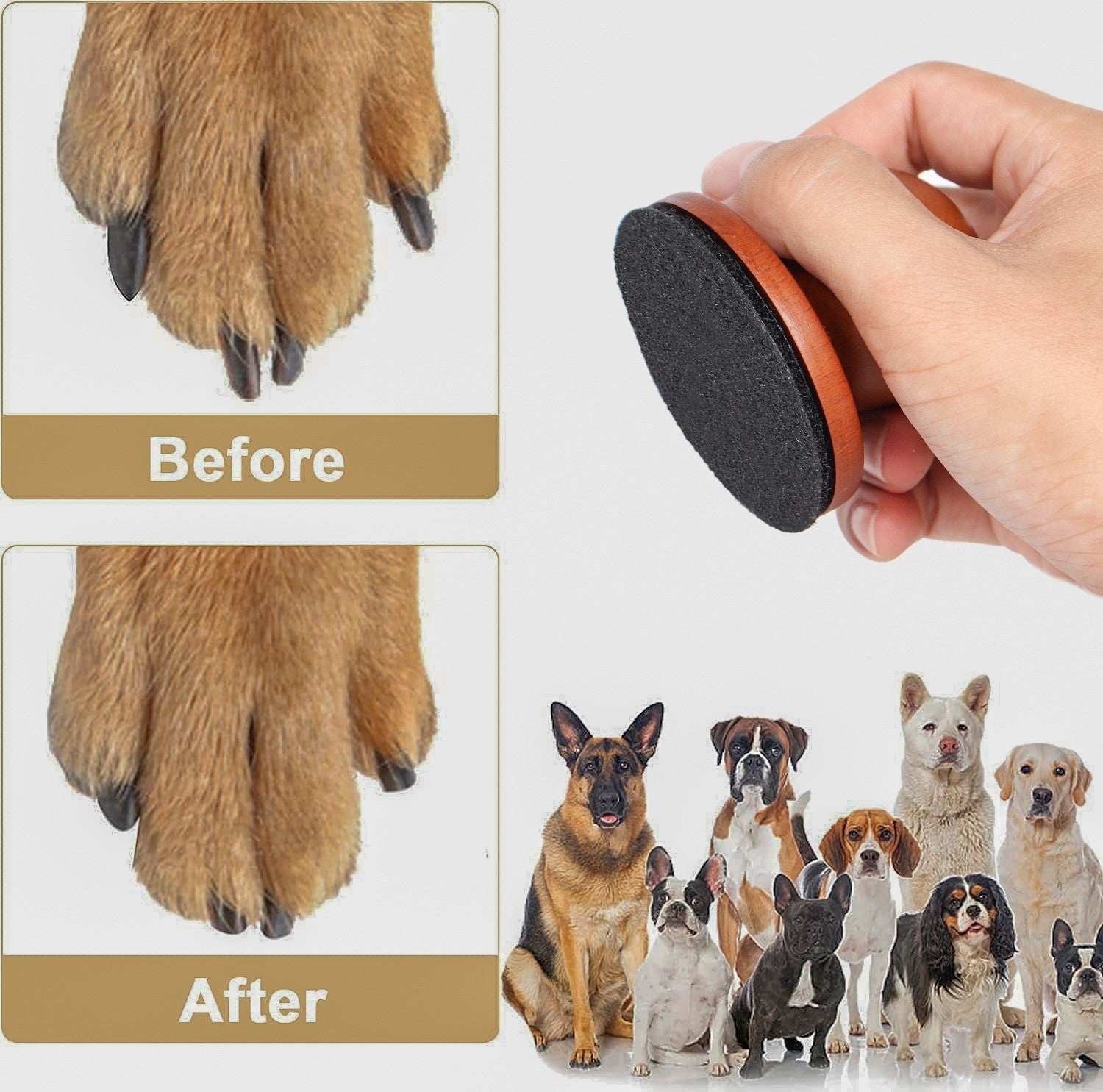 Planche de réparation de clous de chien amovible en bois
