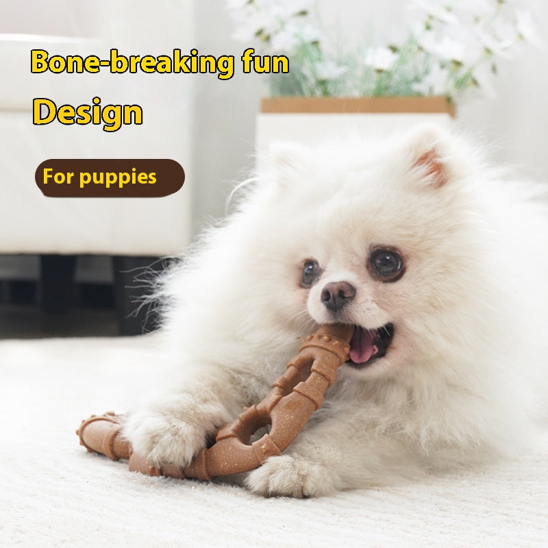 Jouet de chien en os Molar Rod Nettoyage des dents résistant aux piqûres Self-hi