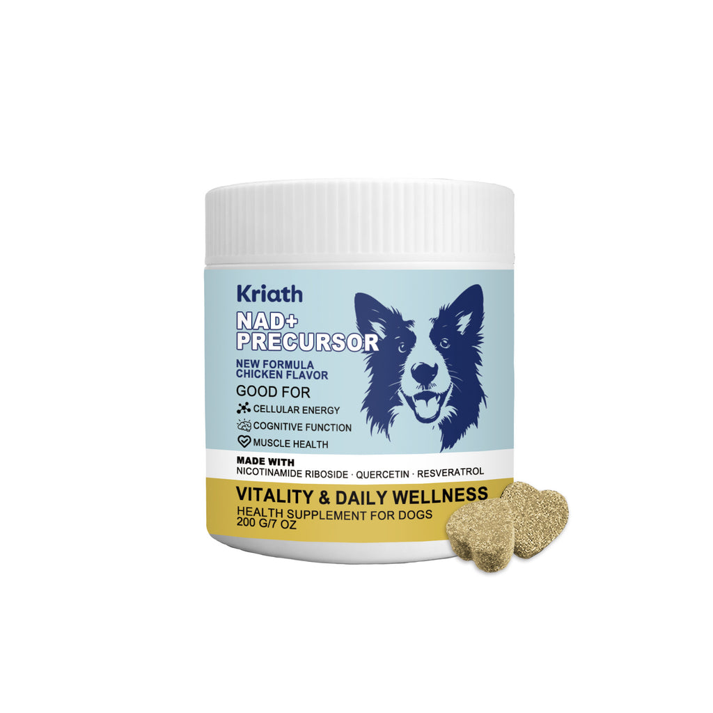 Soins aux canines Comprimés à croquer - Supplément santé pour chiens Soutien quotidien au mieux-être