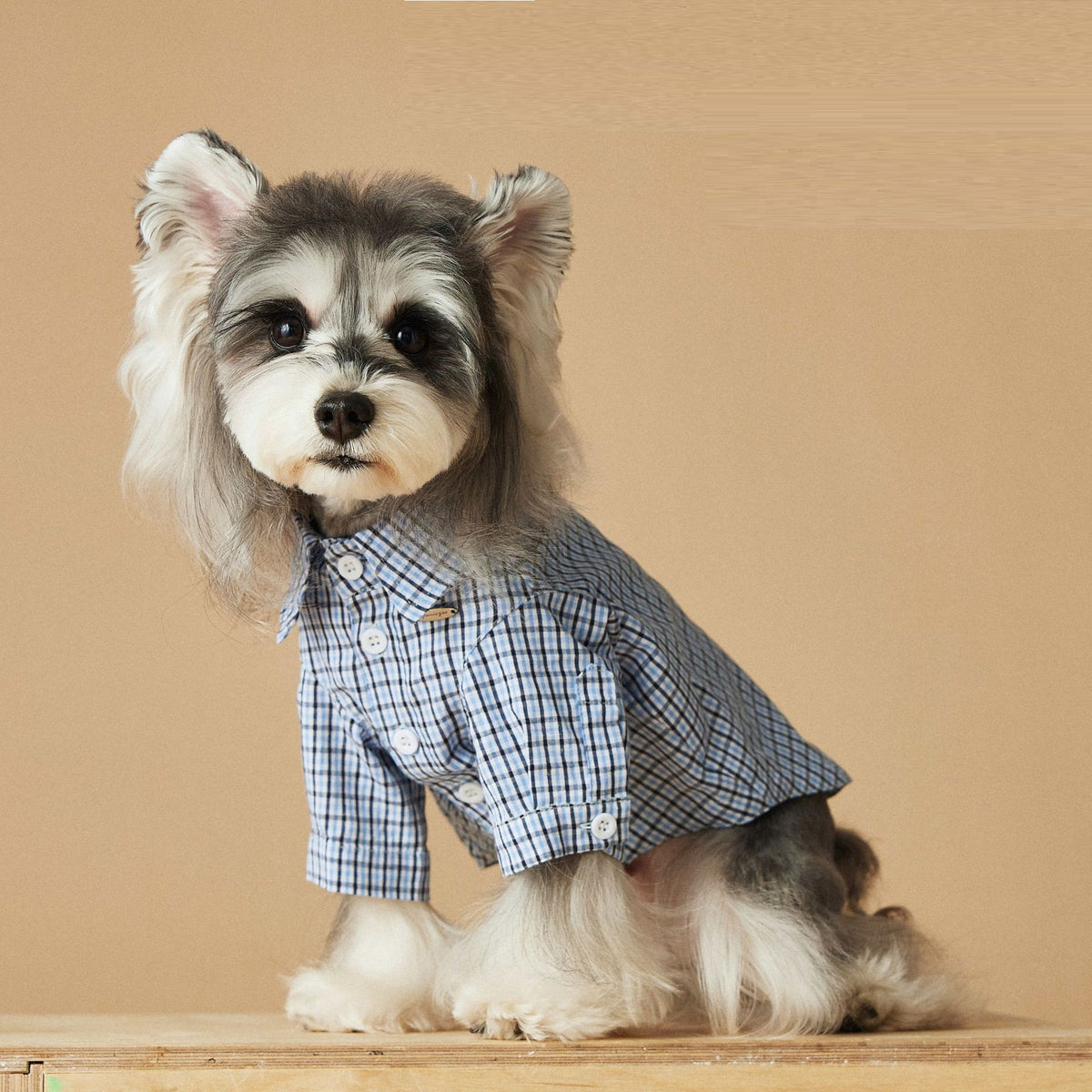 Vêtements de chien Été Petite chemise en Plaid