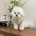 Two-legged clothing for small dogs