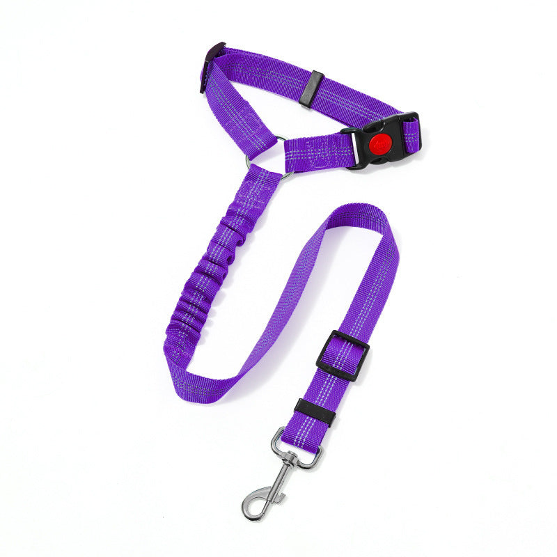Ceinture de sécurité sur corde de traction montée sur véhicule pour animaux de compagnie