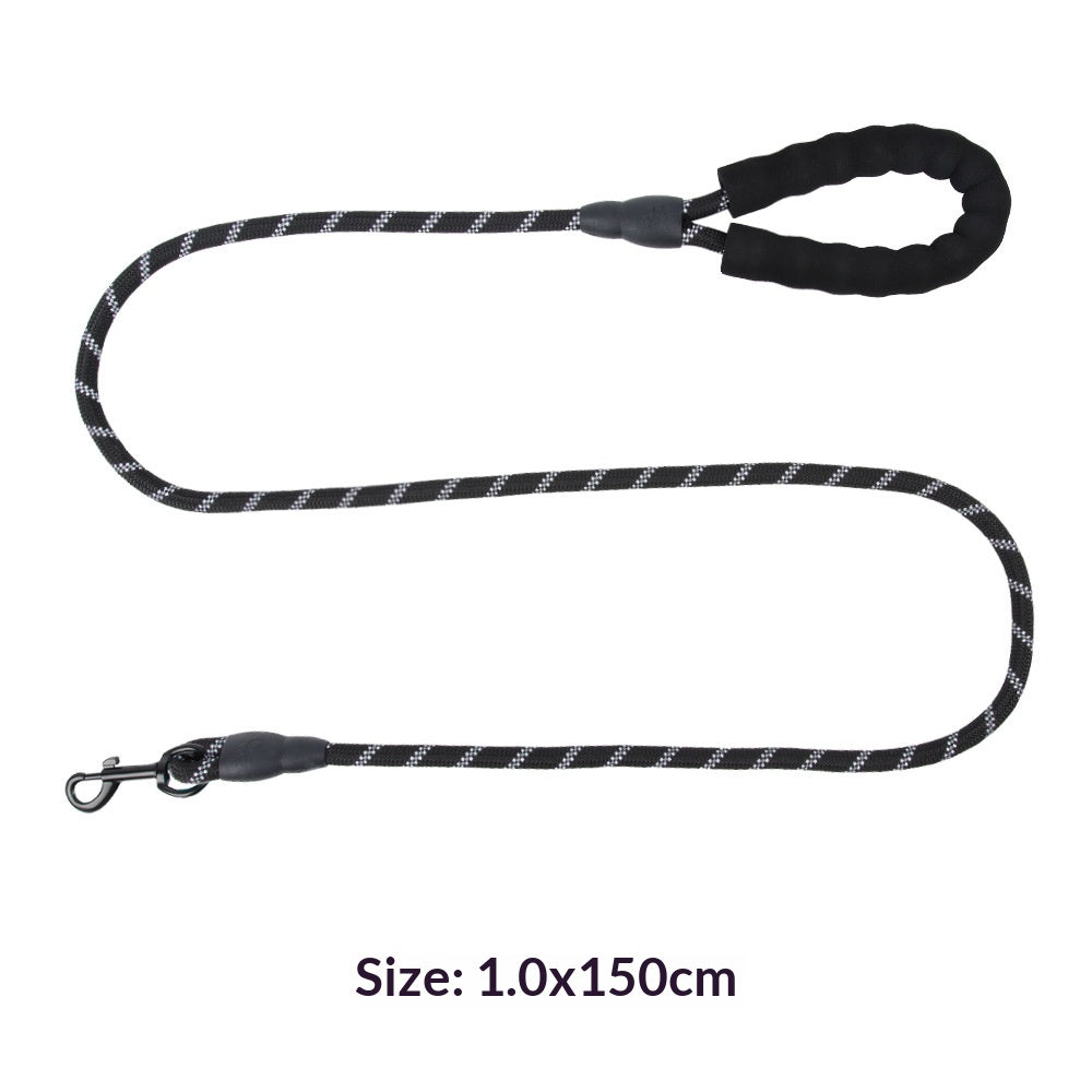 Explosion-Proof Reflective Pet Bungee Leash