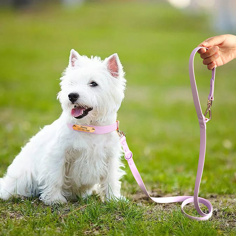 Col laisse chien moyen Teddy