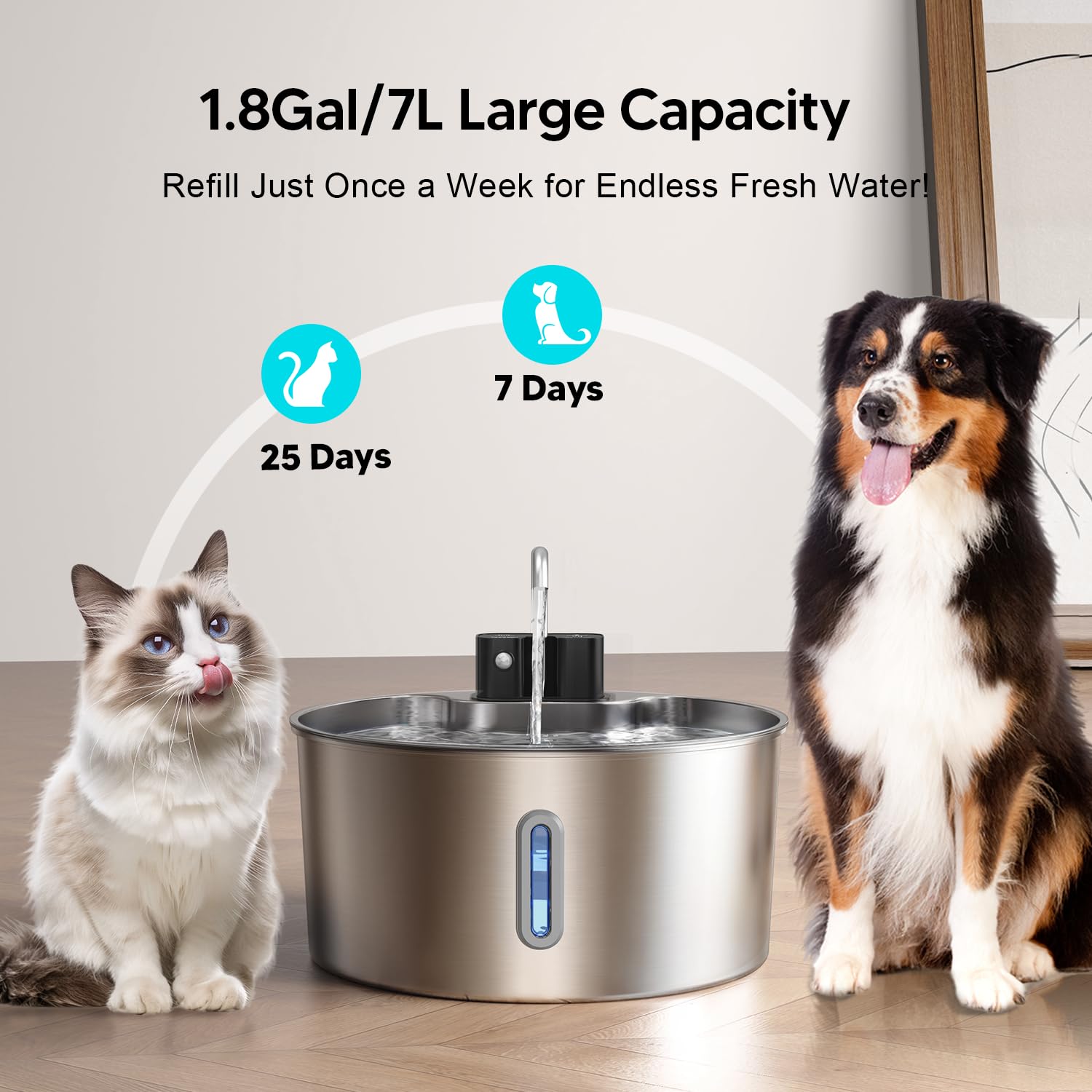 7L Distributeur d'eau pour chiens