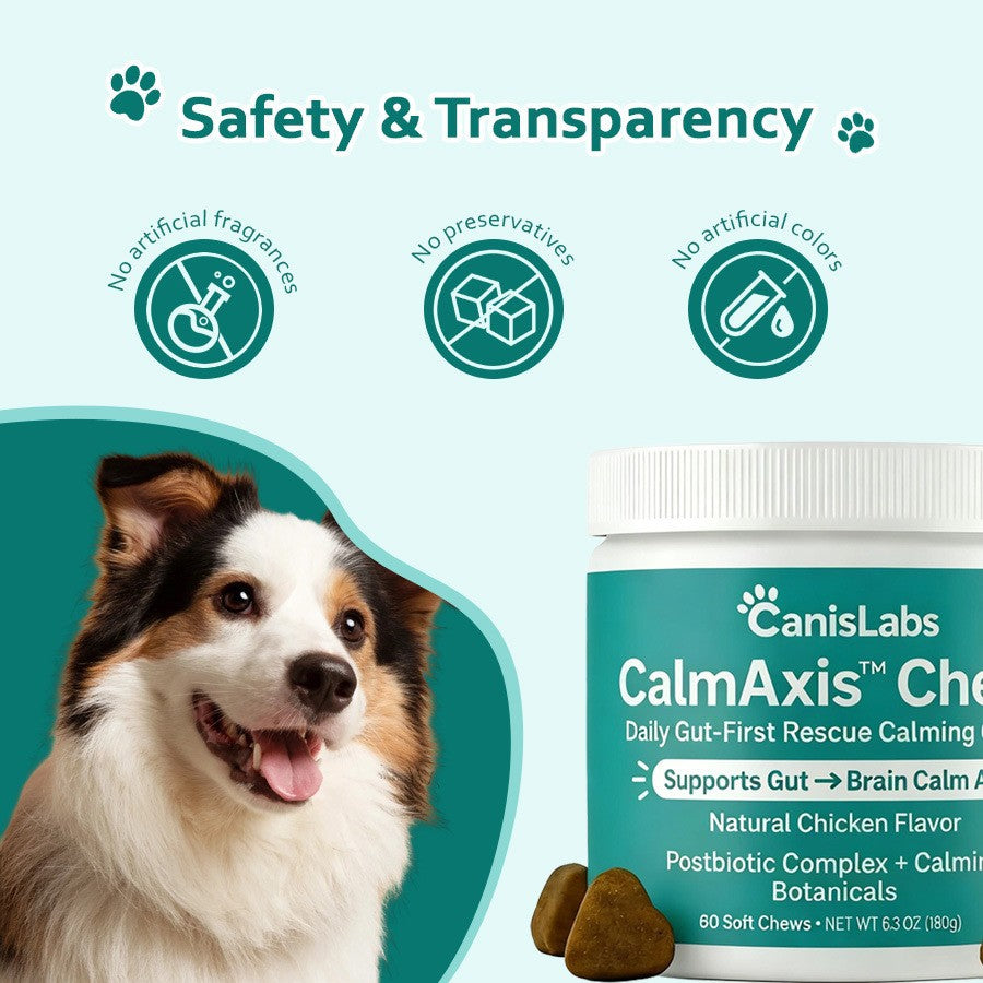 Nourriture pour chiens d'élevage d'animaux 180g