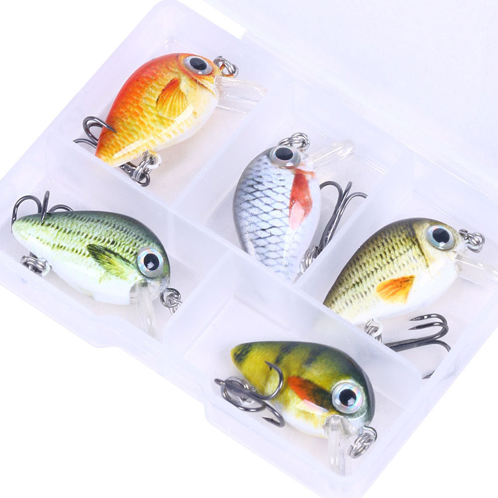 5 couleurs Lure Set 1,5G Mini Rock Lure Fishing Lure Box