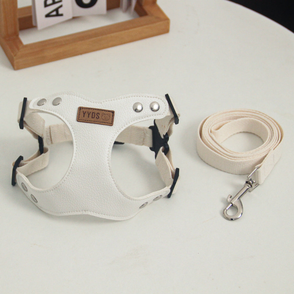 Pet Dog Leash TeddyBichon Harnais extérieur de poitrine et laisse