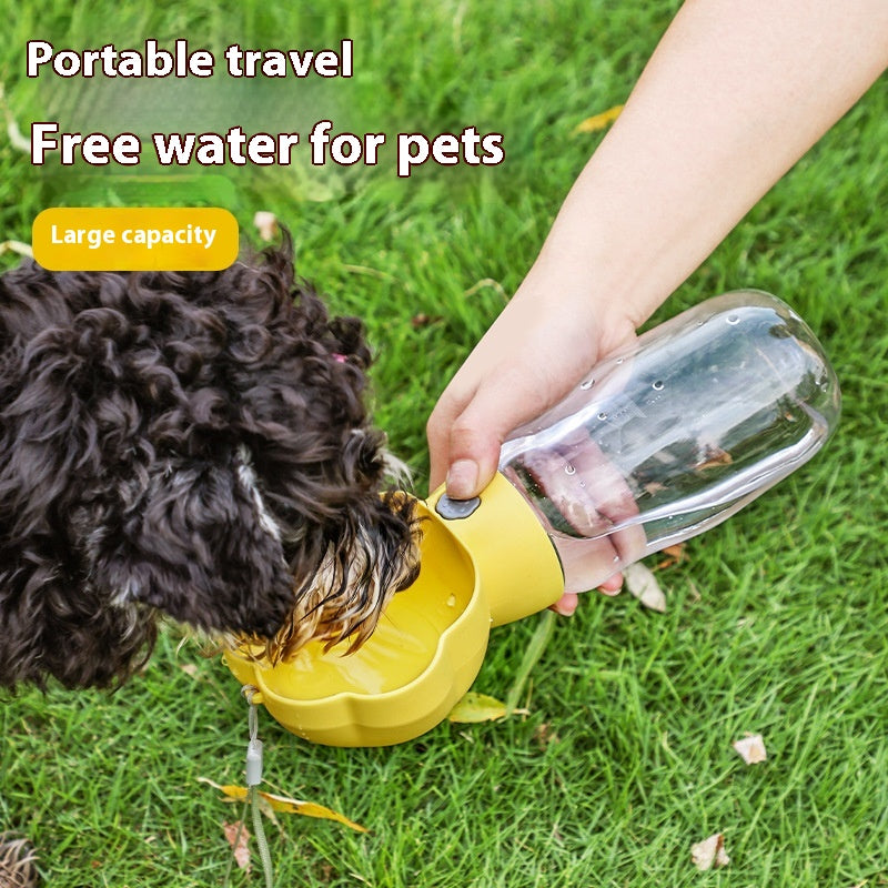 Coupe d'eau pour chiens