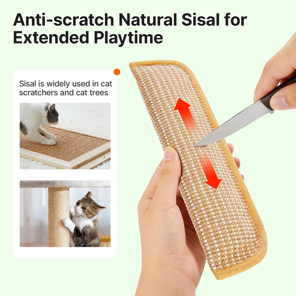 Lot de 2 jouets pour chats avec du panais biologique