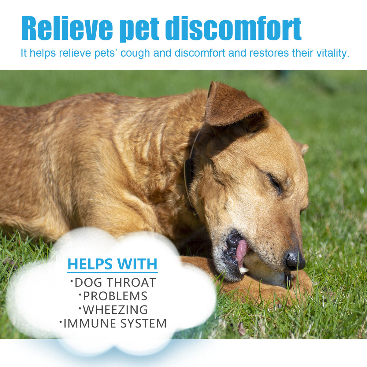 Yegbong Pet Cough Herbal Drops Pet Body Disconfort Care for Pet Cough And Runny Nez