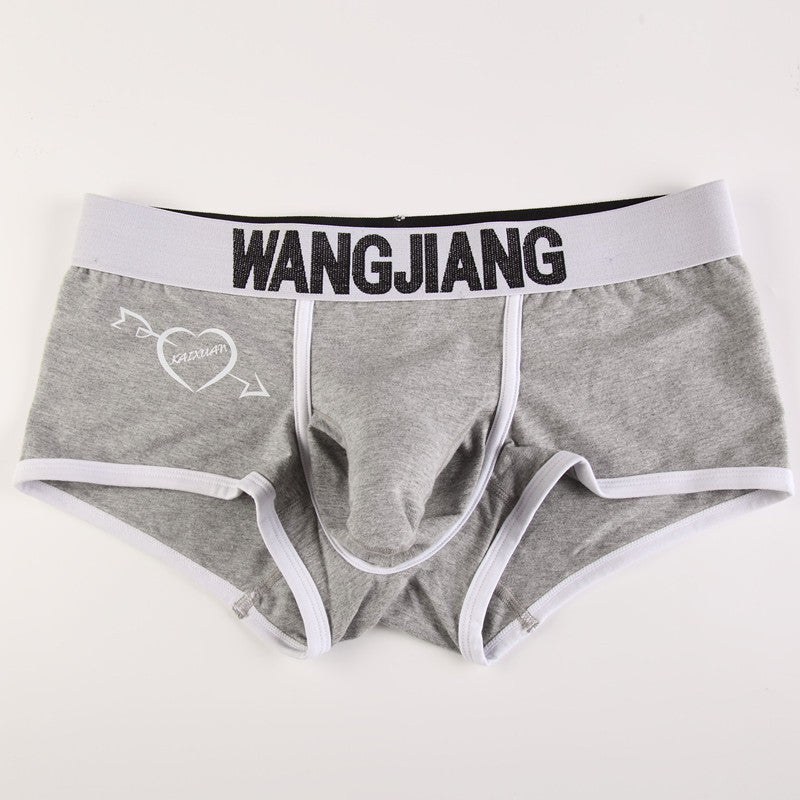 Sous-vêtements pour hommes Boxers Low Waist Coton U Convex Trunk Mode Sexy Boxers pour hommes