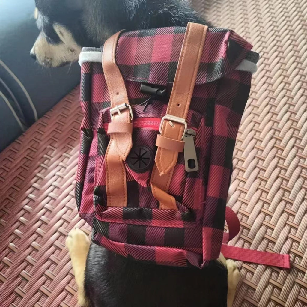 Retro Streetwear Dog Backpack Petite Pet Carrier