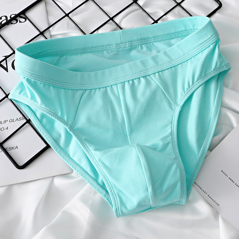 Slips en coton de mode pour homme