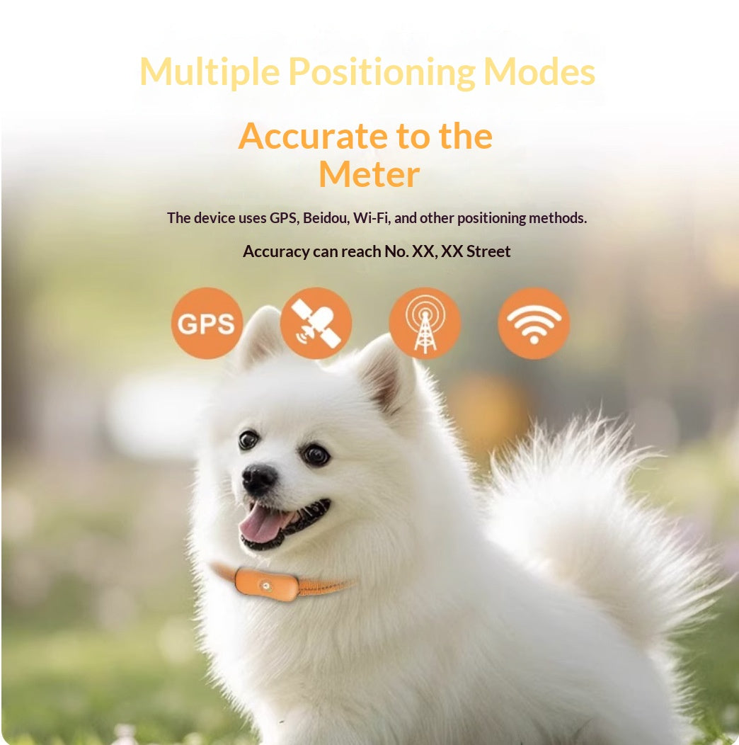 Localisateur de code QR pour les chats Petits chiens