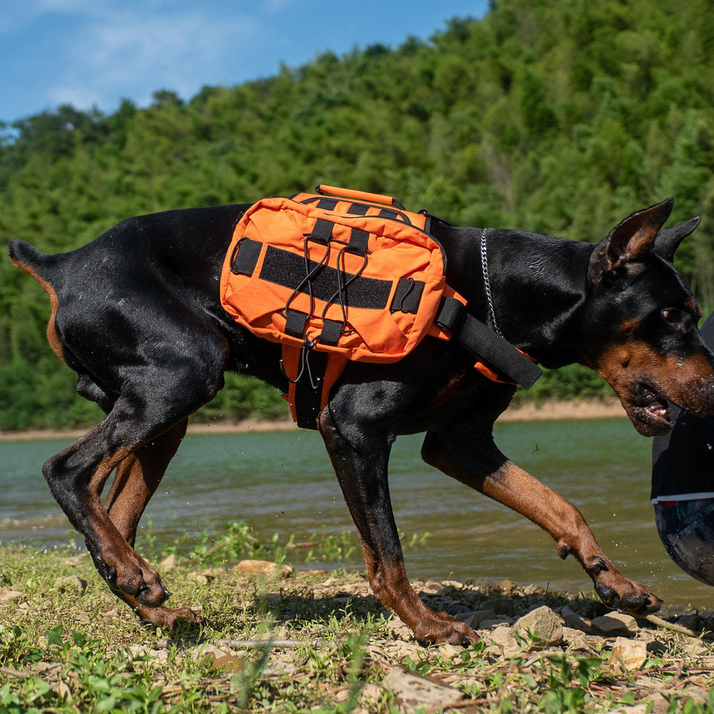 Sac à dos pour animaux de compagnie multifonction avec paillettes