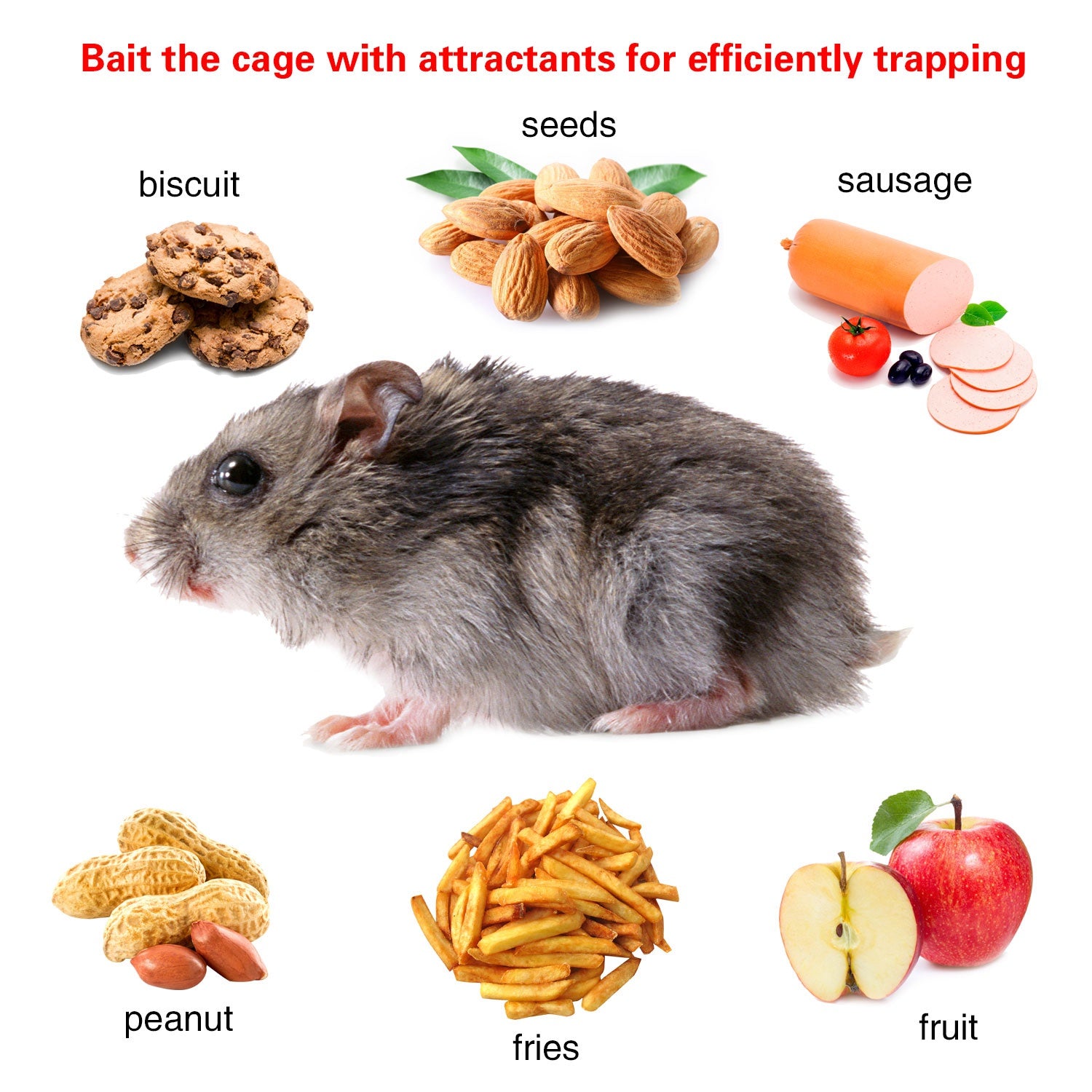 Trap humain d'animaux vivants