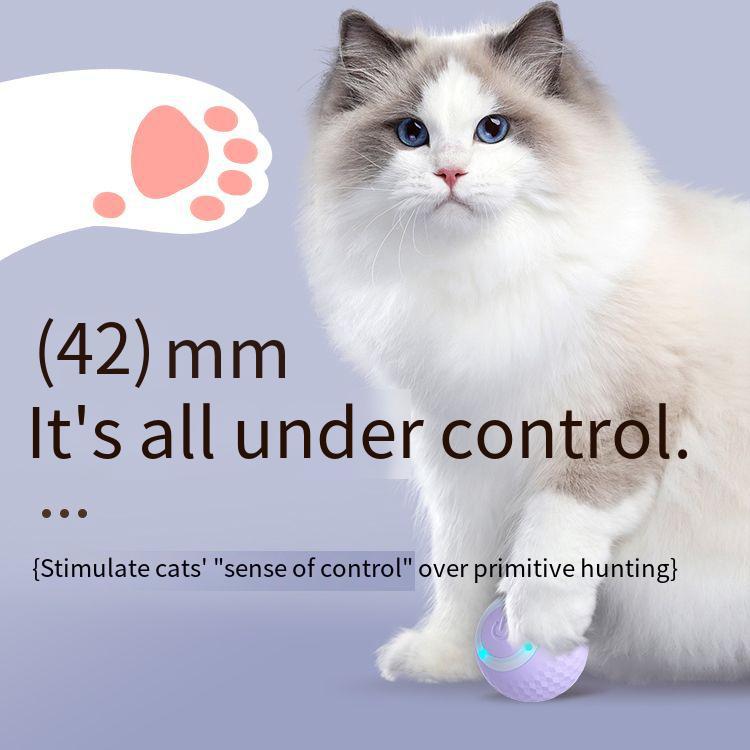 Jouet de chat à rotule intelligent pour le soulagement de l'ennui