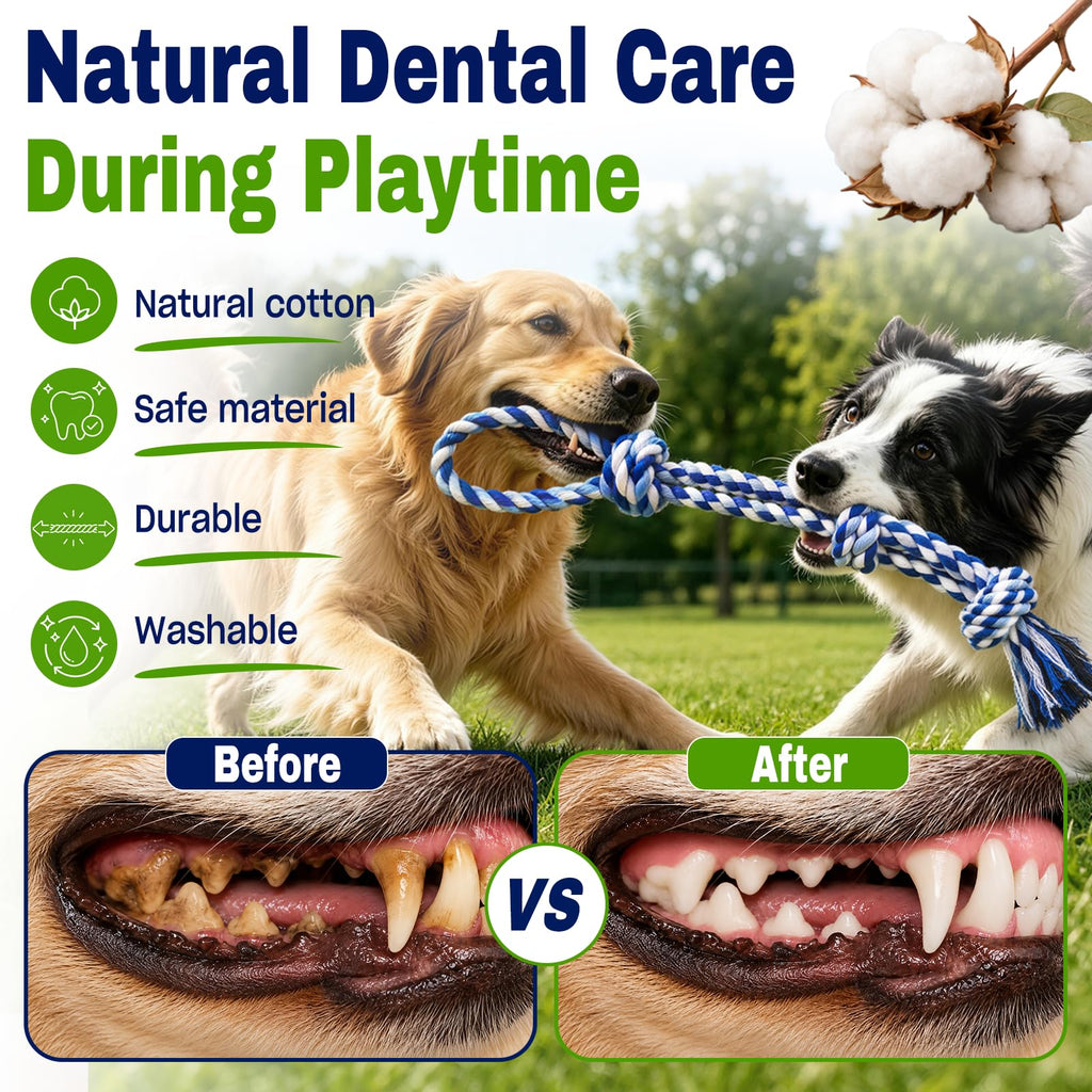 Jouets de corde de chien pour les brochettes agressives