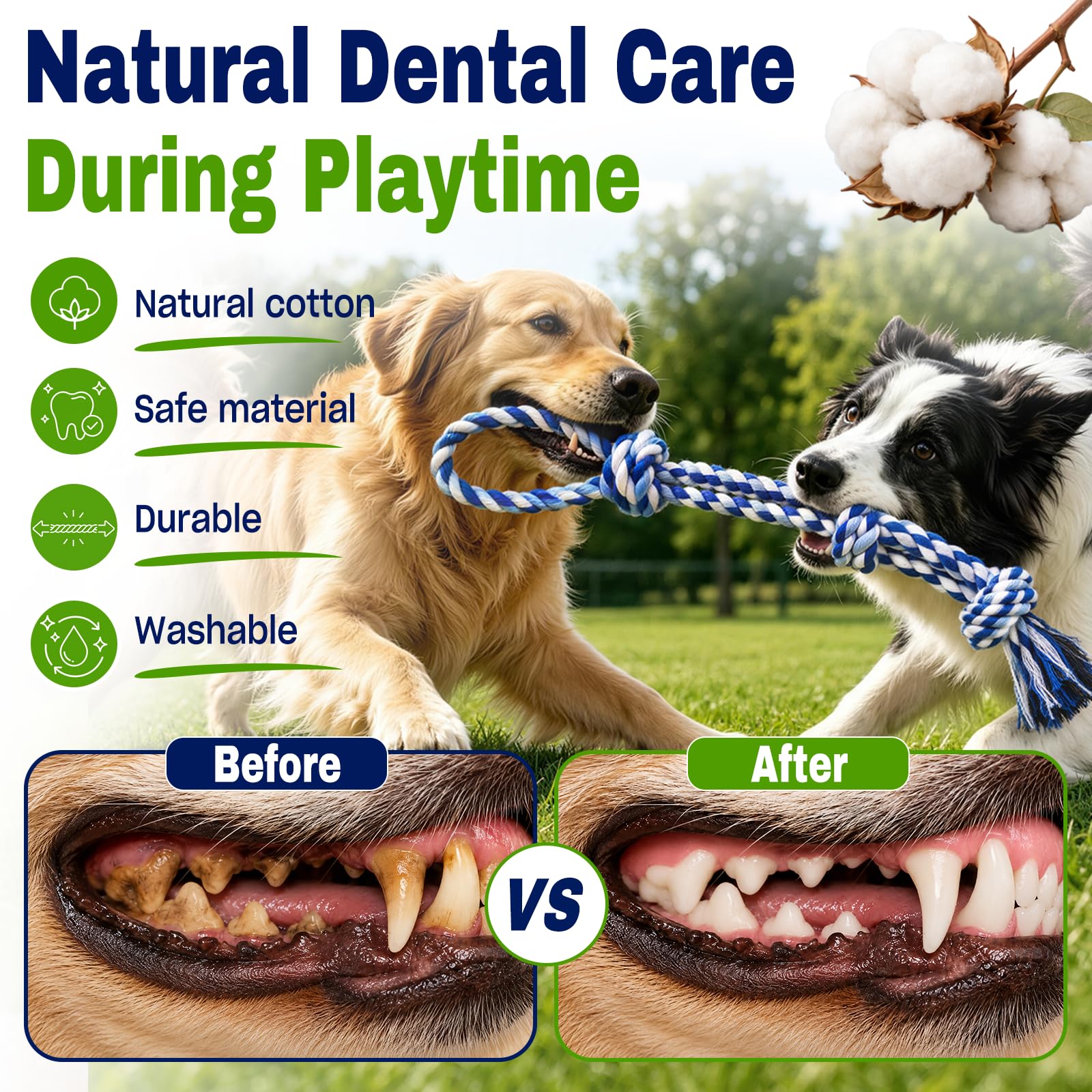 Jouets de corde de chien pour les brochettes agressives
