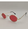 Jouet de lunettes de chien moyen et grand
