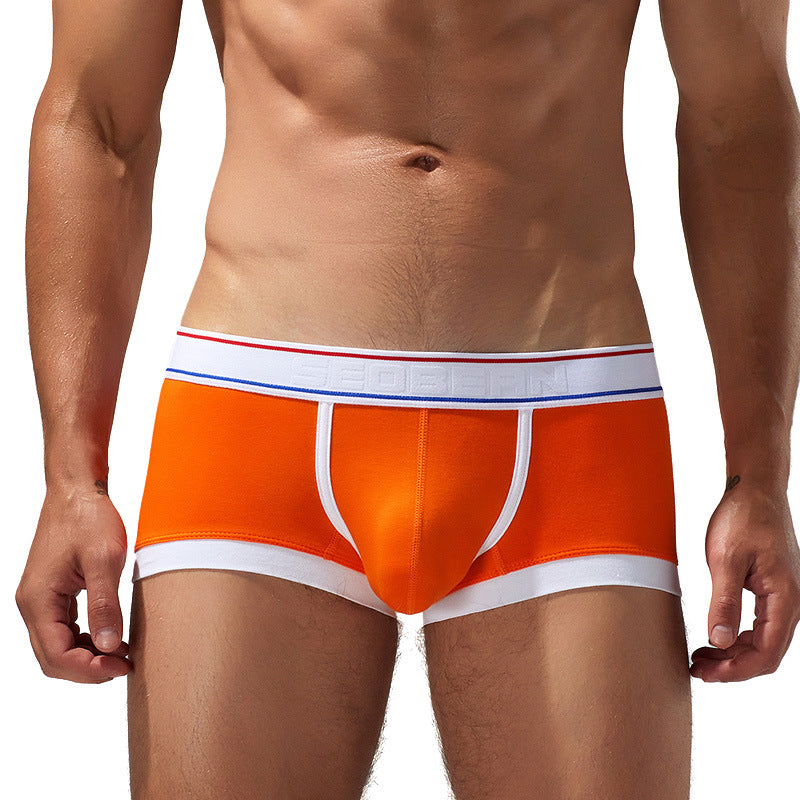 Sous-vêtements Cotton Boxer Youth Low Waist Panties Boxers pour hommes