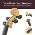 Violon 4/4 professionnel - Son Premium