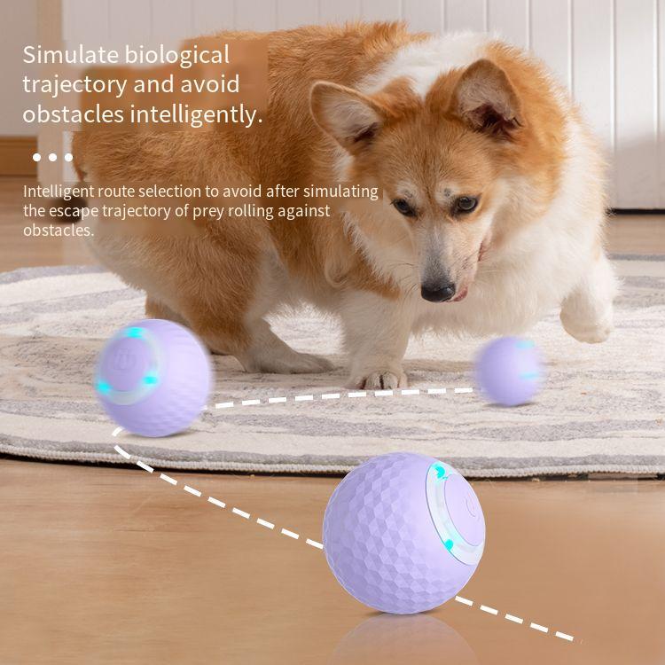 Jouet de chat à rotule intelligent pour le soulagement de l'ennui