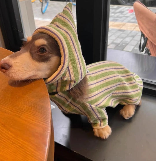 Chien de chien Automne et Veste d'hiver garder chaud nouveau