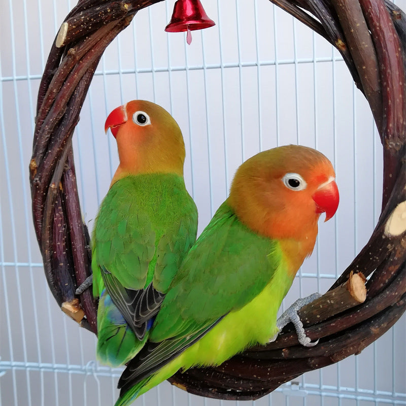 Oiseaux Cadre debout Ring Rattan Toy Chewing Cage d'oiseau