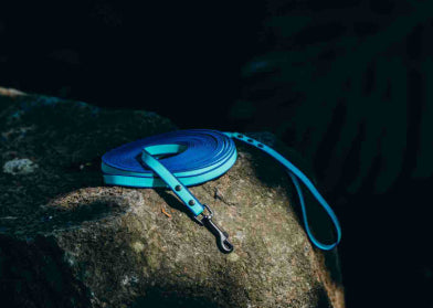 Meilleures ventes de produits pour animaux de compagnie en PVC